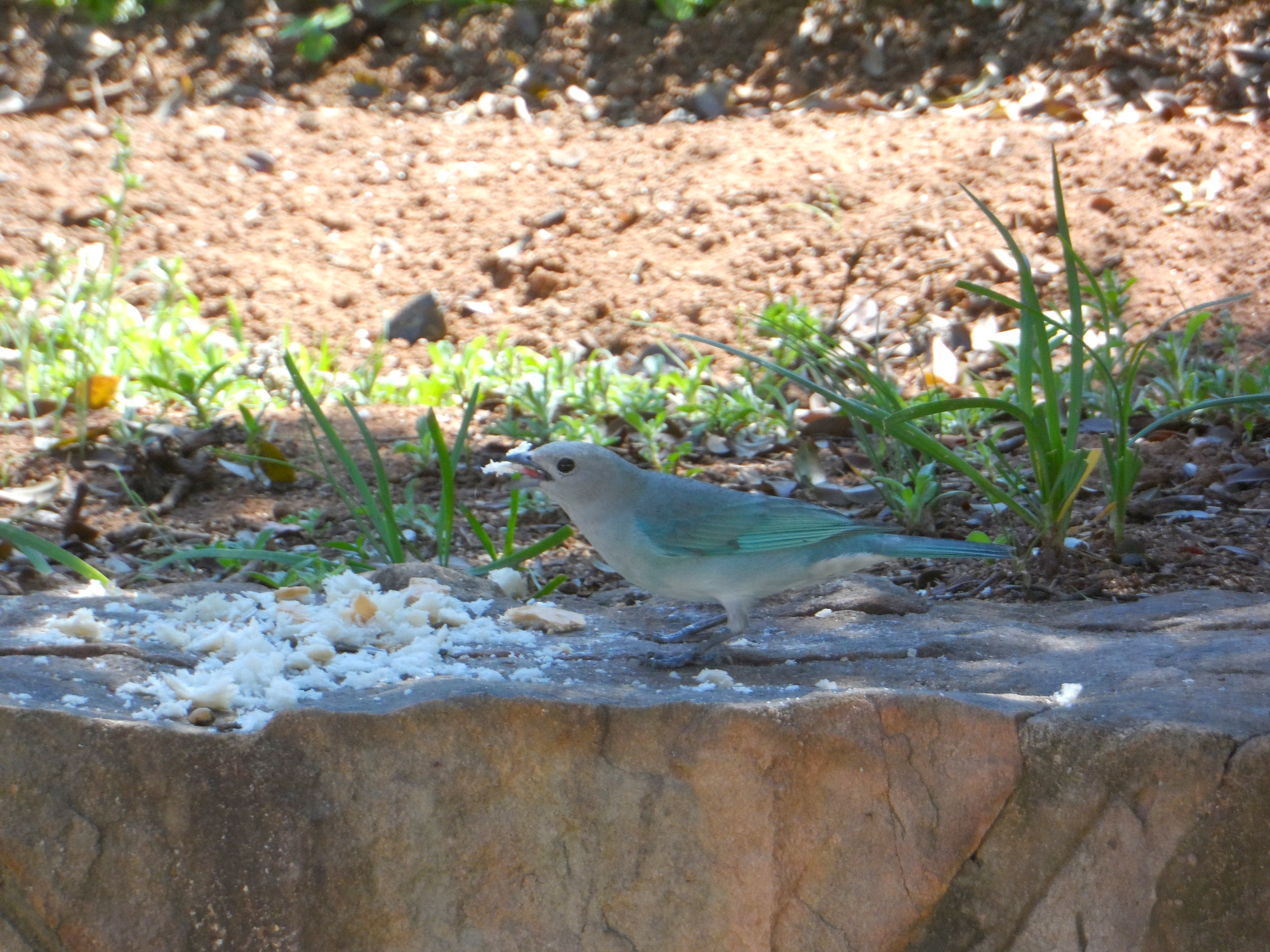 so schön kann der Herbst 2017 sein