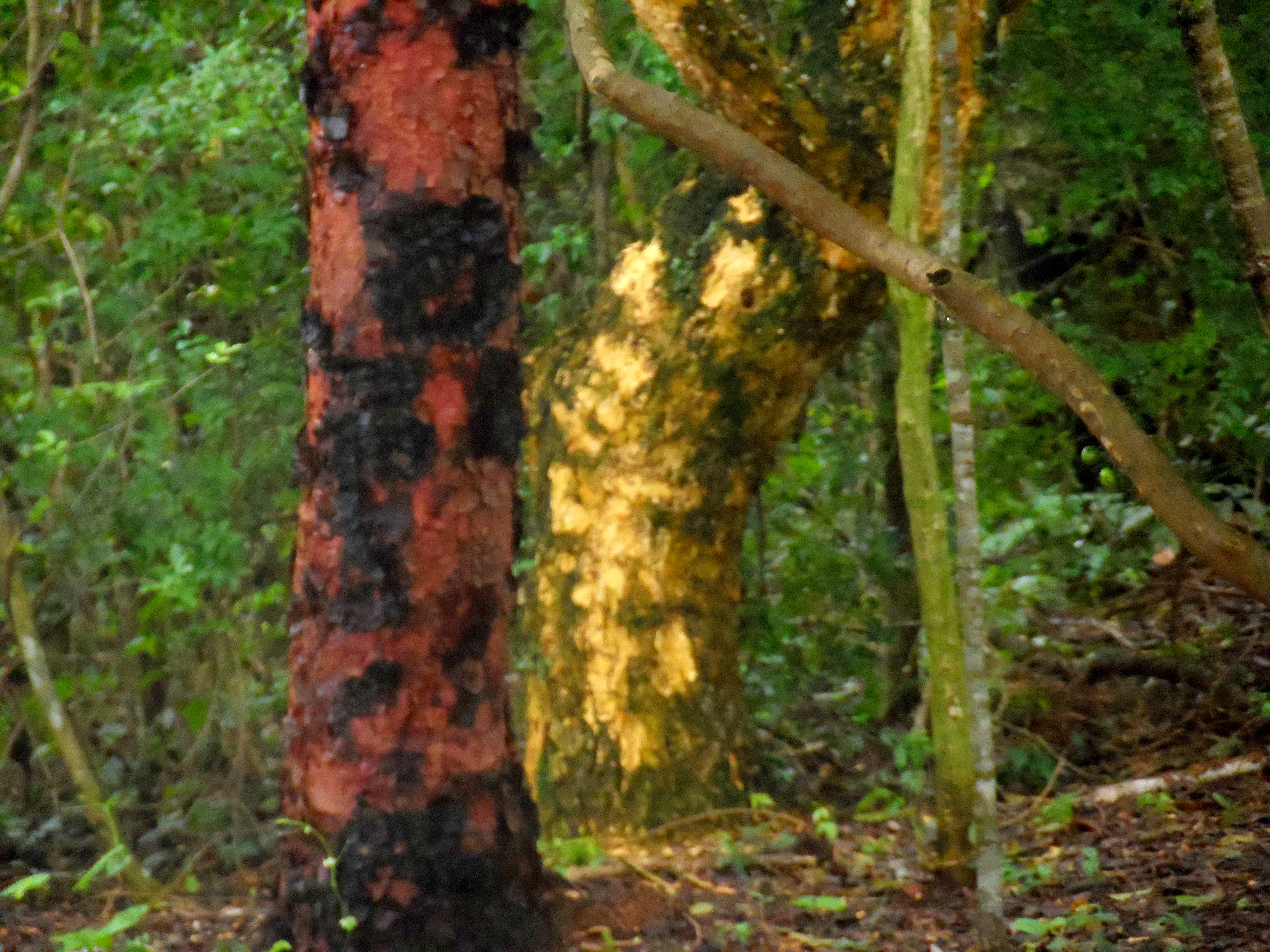 so schön kann der Herbst 2017 sein