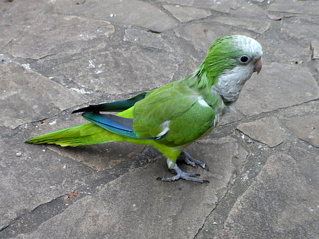 Fritzi, nicht zu glauben