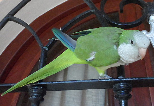 Fritzi, nicht zu glauben