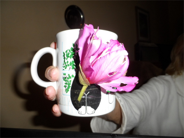 seht her Ihr Männer