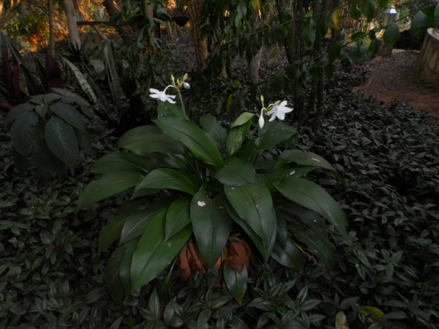 Winter in Paraguay 11