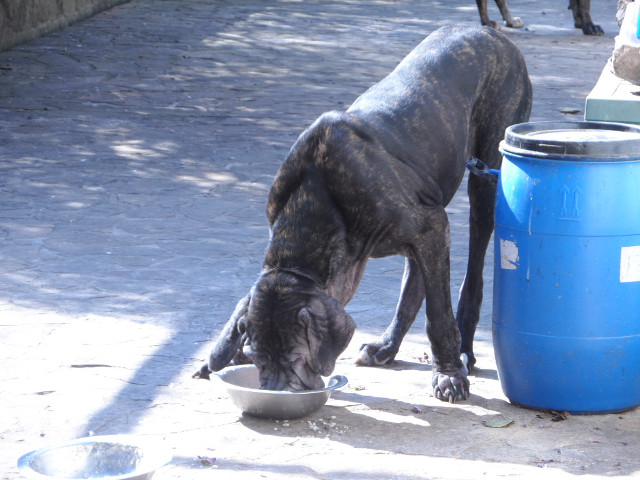 Winter in Paraguay 18