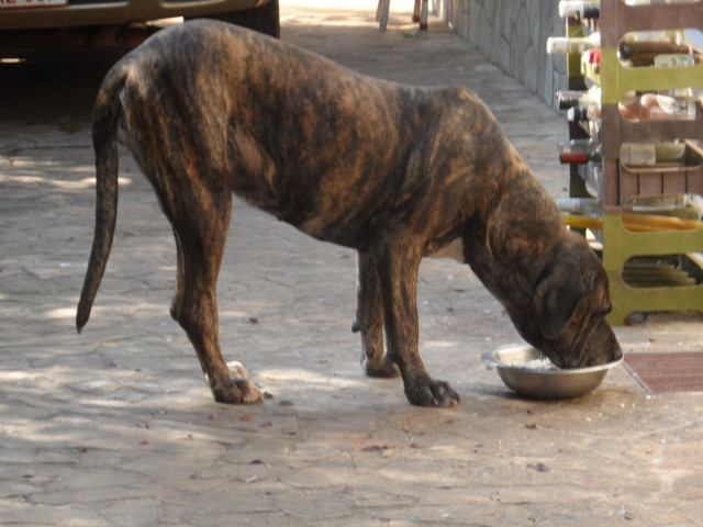 Winter in Paraguay 19