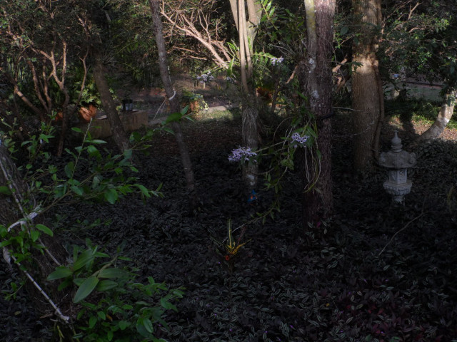 Winter in Paraguay 29