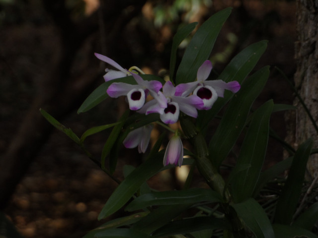 Winter in Paraguay 31