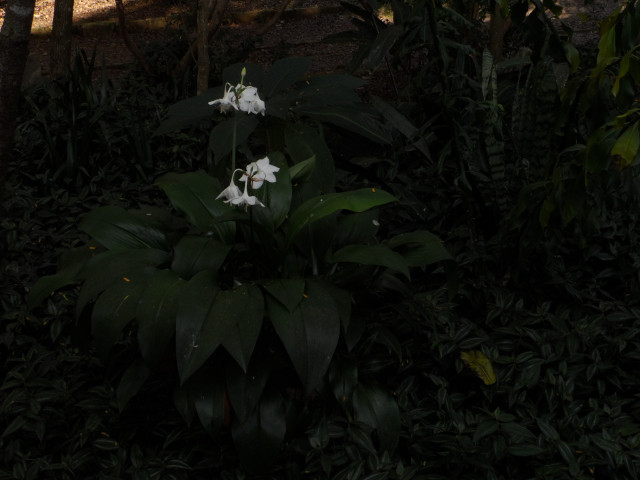 Winter in Paraguay 32