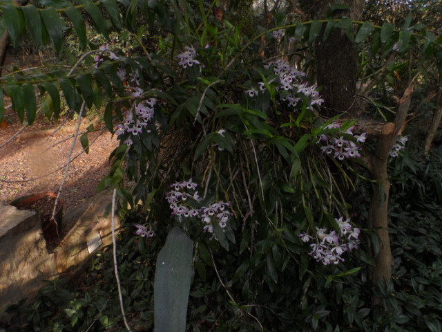 Winter in Paraguay 37