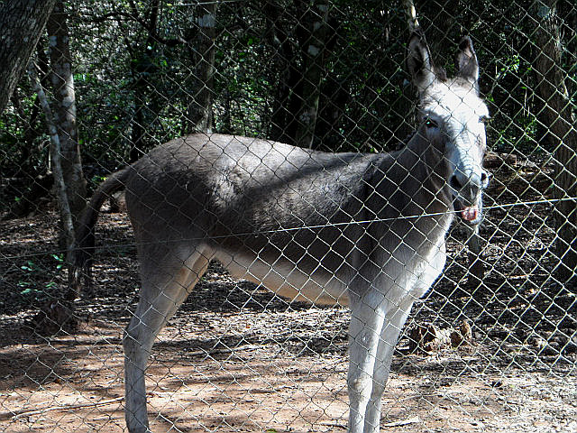 Winter in Paraguay 38
