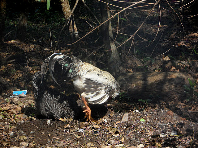 Winter in Paraguay 39