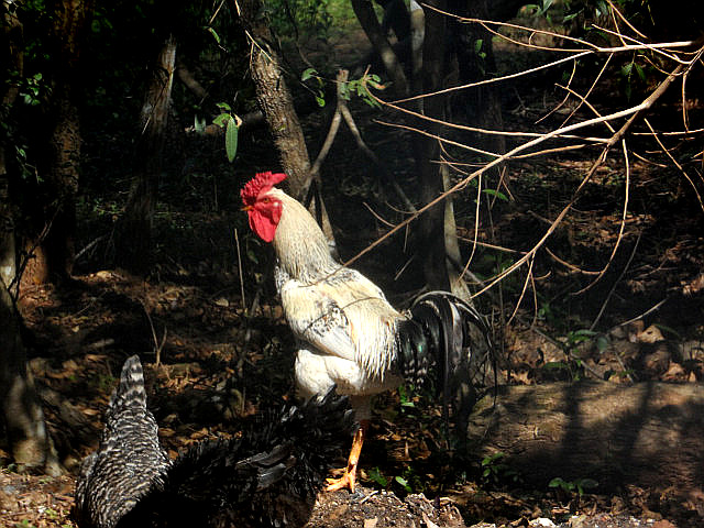 Winter in Paraguay 40