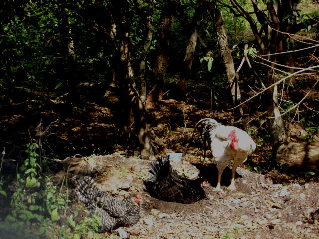 Winter in Paraguay 41