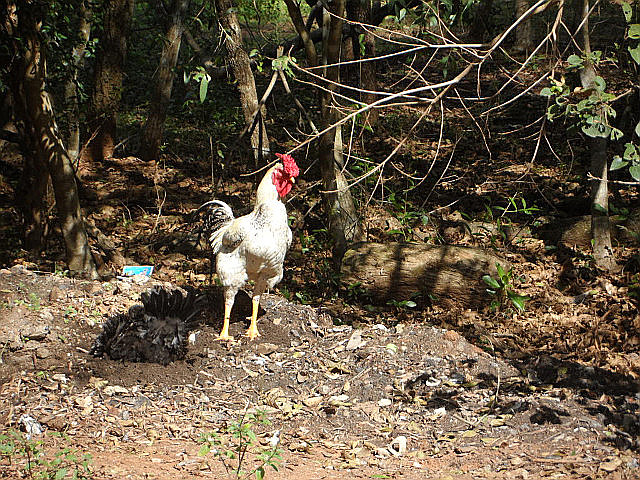 Winter in Paraguay 42