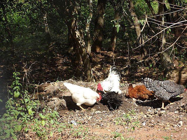 Winter in Paraguay 44