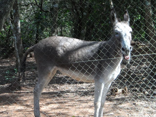 ich habe im Moment nicht viel zu erzählen