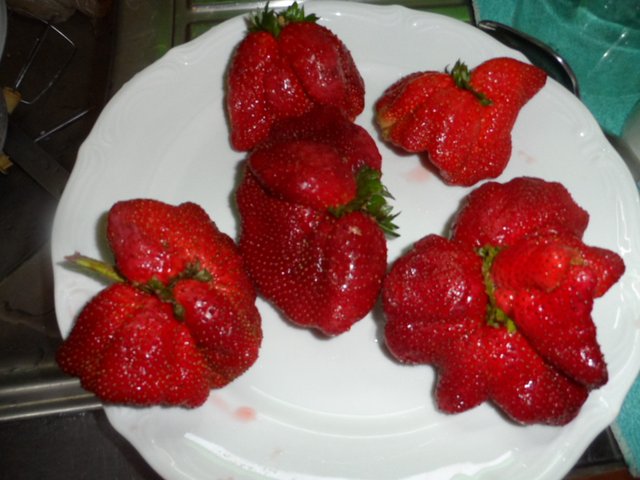 ich habe im Moment nicht viel zu erzählen