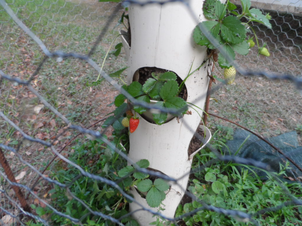 ich habe im Moment nicht viel zu erzählen