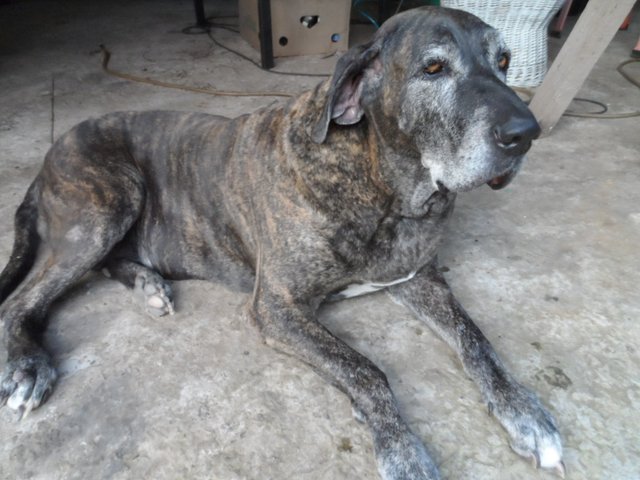 ich habe im Moment nicht viel zu erzählen