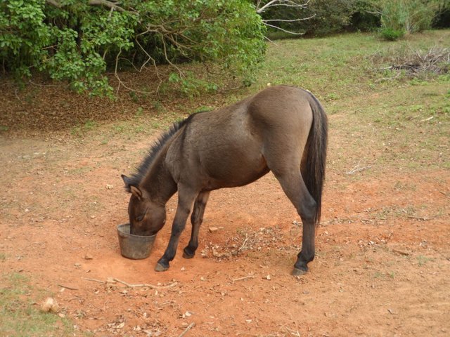 ich habe im Moment nicht viel zu erzählen