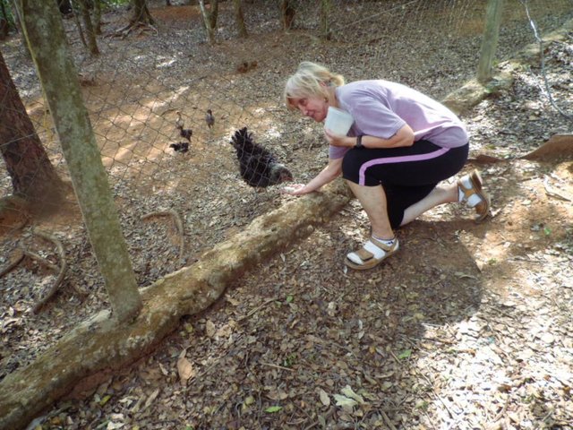 ich habe im Moment nicht viel zu erzählen