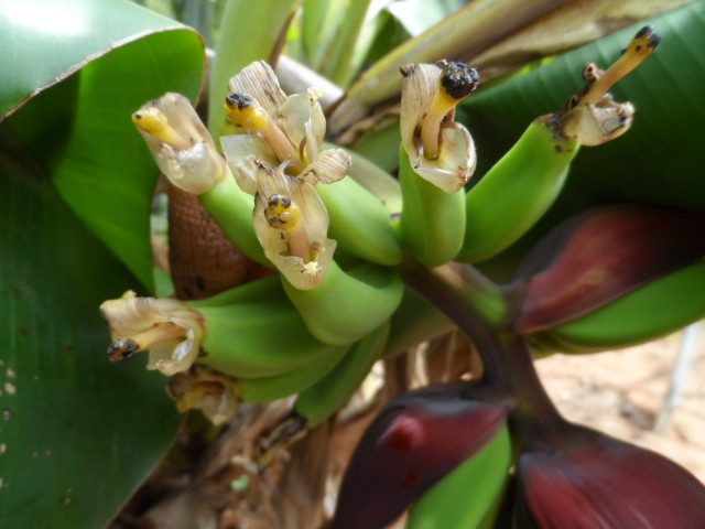 so manche Kleinigkeiten in Altos