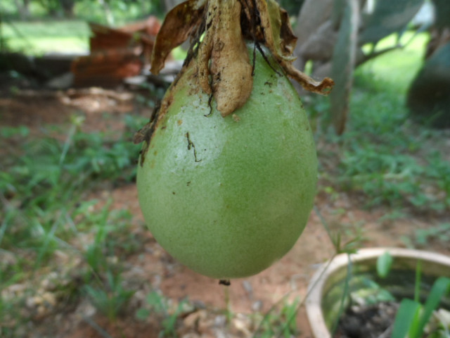 so manche Kleinigkeiten in Altos