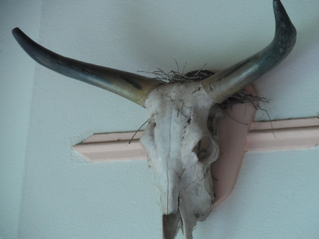 so manche Kleinigkeiten in Altos