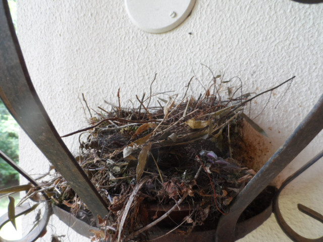 so manche Kleinigkeiten in Altos