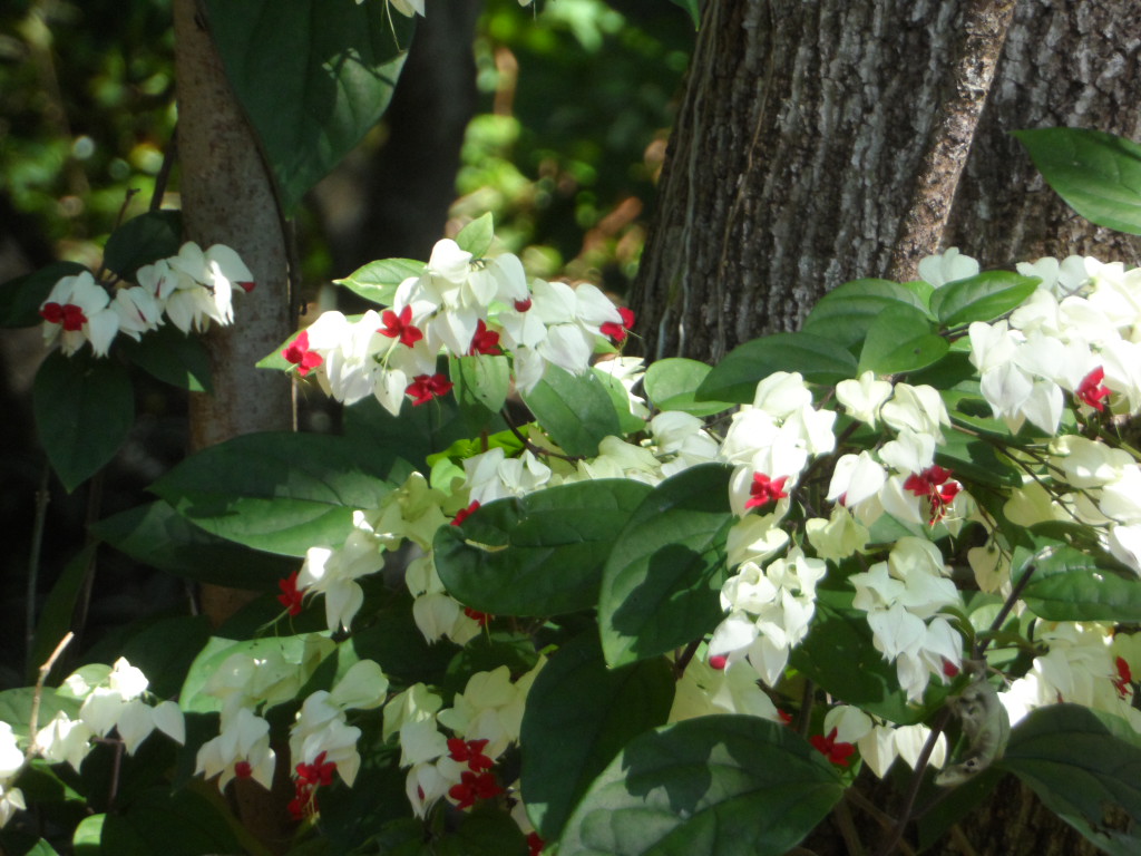 keine Zeit eher zu schreiben