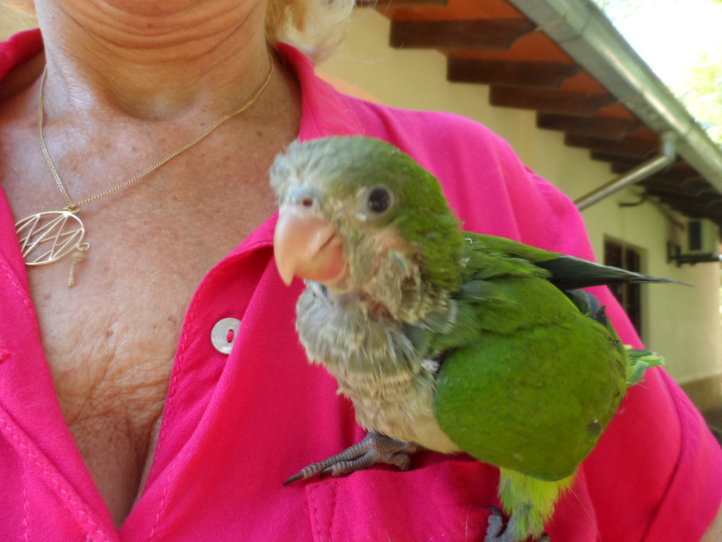 keine Zeit eher zu schreiben