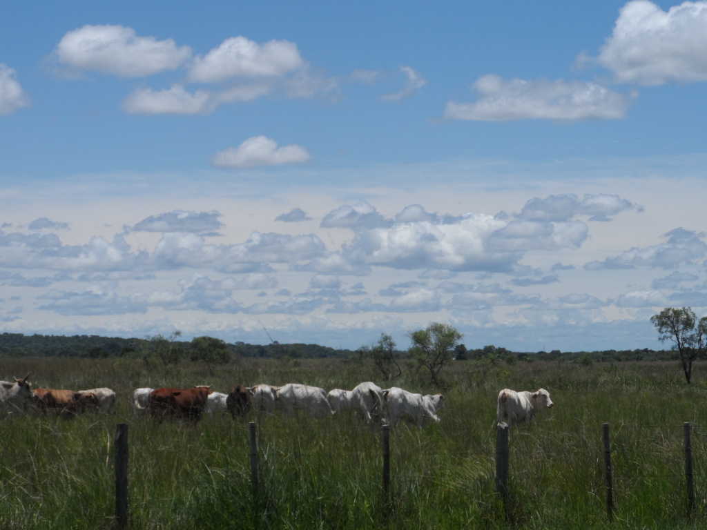 keine Zeit eher zu schreiben
