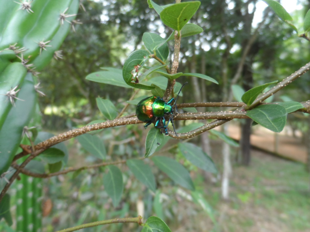 keine Zeit eher zu schreiben