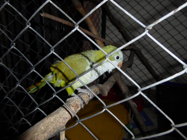 Besuch aus Deutschland und ihre Bilder