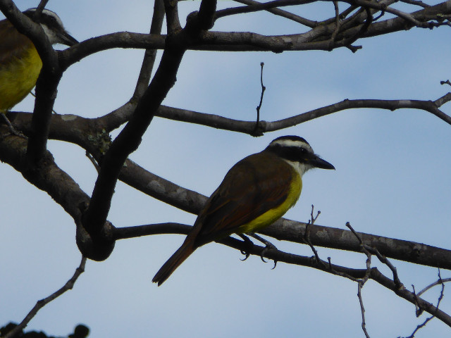 Besuch aus Deutschland und ihre Bilder