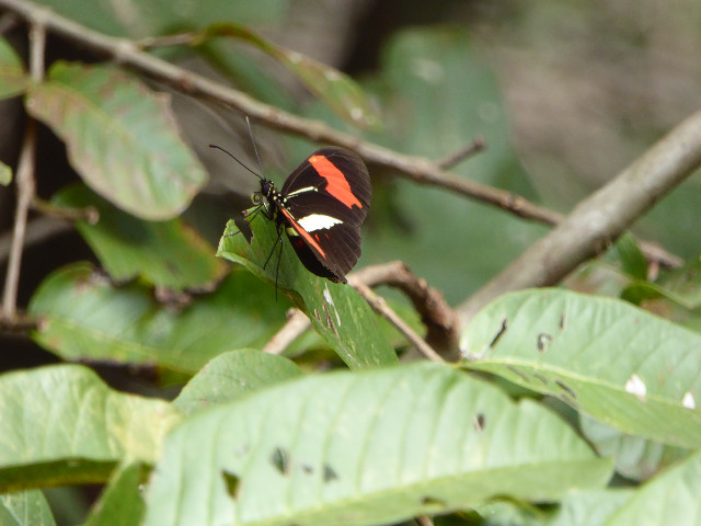 Besuch aus Deutschland und ihre Bilder