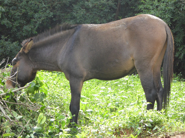 Besuch aus Deutschland und ihre Bilder