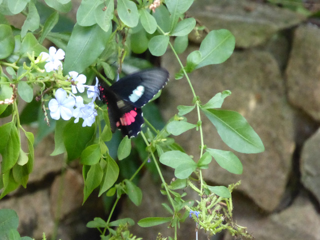 Besuch aus Deutschland und ihre Bilder