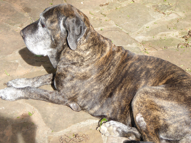 Besuch aus Deutschland und ihre Bilder