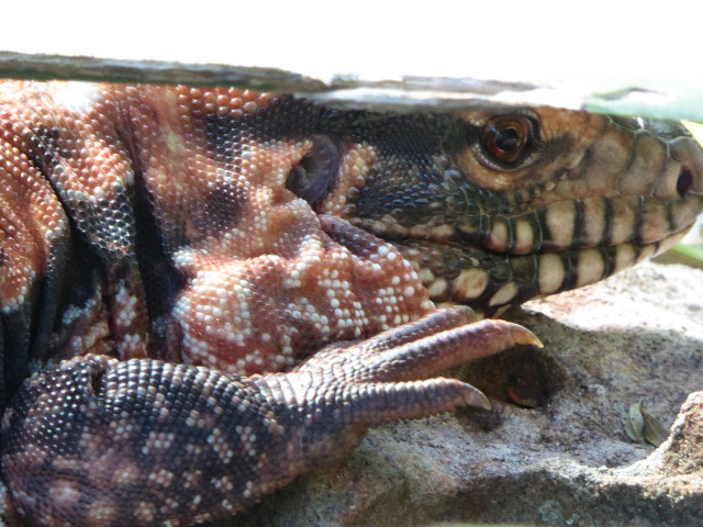 Besuch aus Deutschland und ihre Bilder