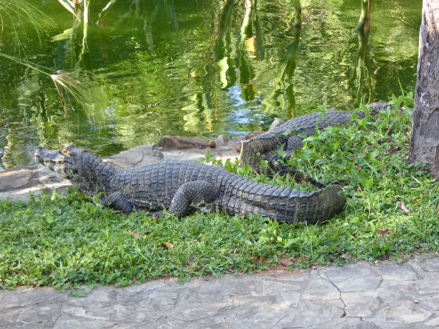 Besuch aus Deutschland und ihre Bilder