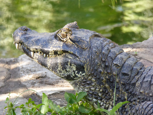 Besuch aus Deutschland und ihre Bilder