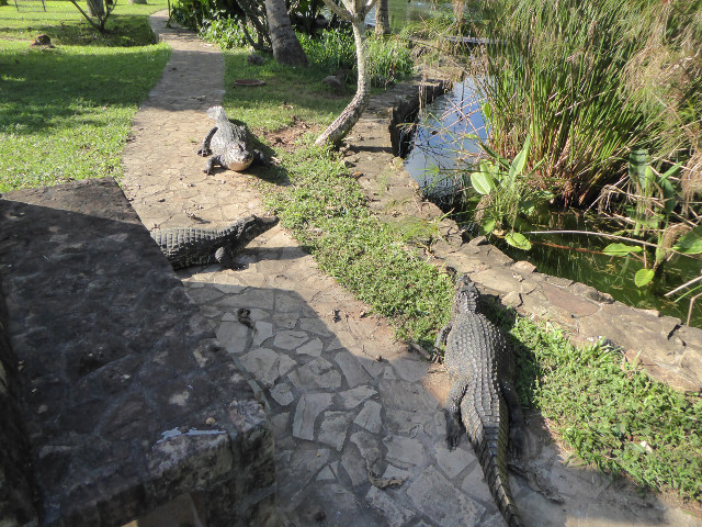 Besuch aus Deutschland und ihre Bilder