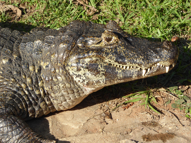 Besuch aus Deutschland und ihre Bilder