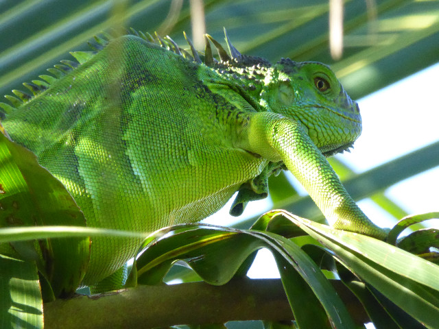 Besuch aus Deutschland und ihre Bilder