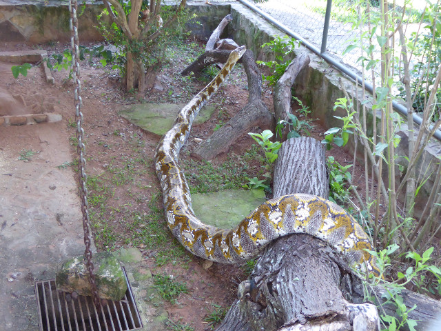 Besuch aus Deutschland und ihre Bilder