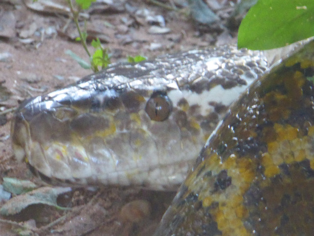 Besuch aus Deutschland und ihre Bilder