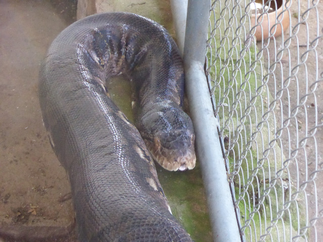 Besuch aus Deutschland und ihre Bilder