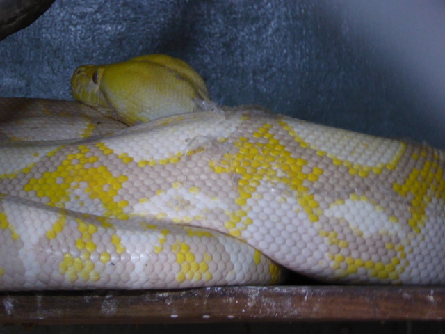 Besuch aus Deutschland und ihre Bilder