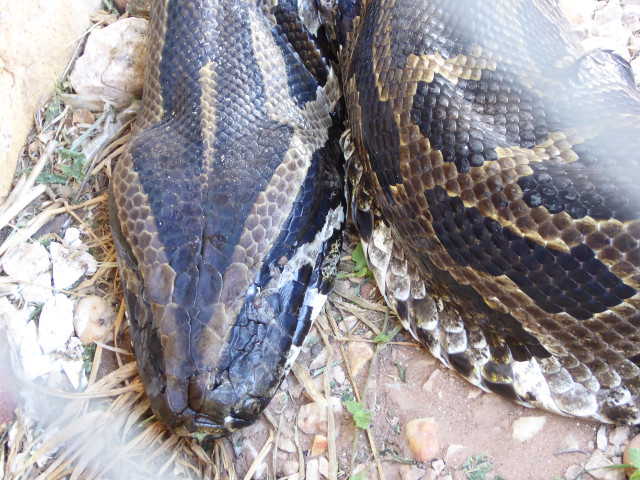 Besuch aus Deutschland und ihre Bilder