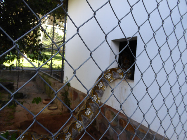 Besuch aus Deutschland und ihre Bilder